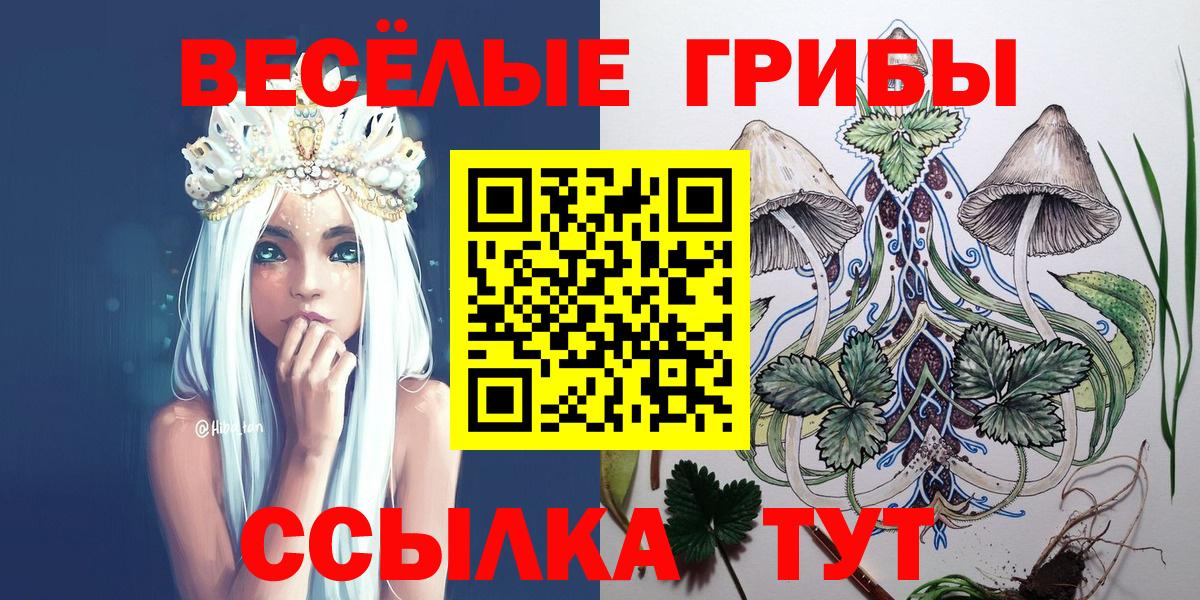 Галлюциногенные грибы Psilocybe Апатиты