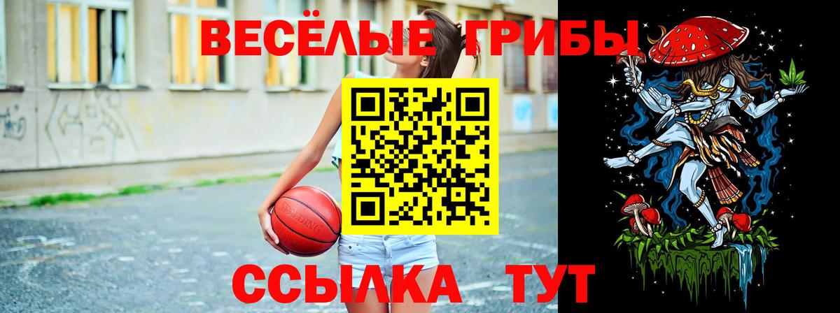 Псилоцибиновые грибы Magic Shrooms  Вход с VPN  Апатиты  Псилоцибиновые грибы Cubensis 